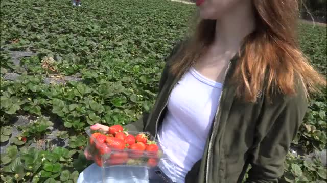 At The Farm 1/2